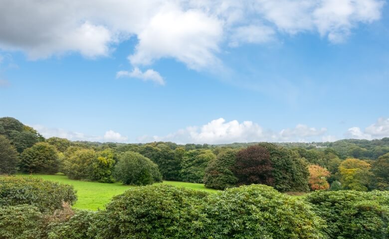 Lakeview Court, Roundhay